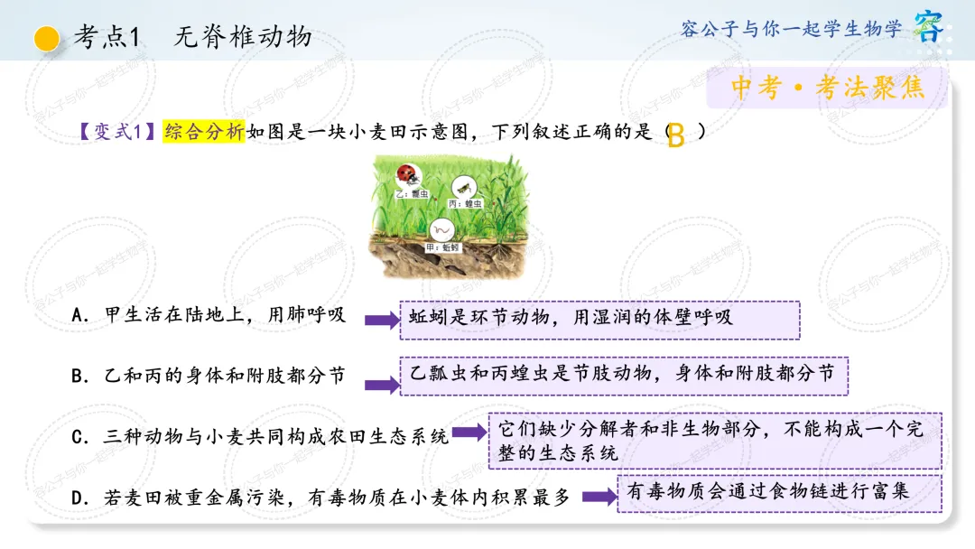 初中生物学中考一轮复习课件《第4讲 动物的类群》 第8张
