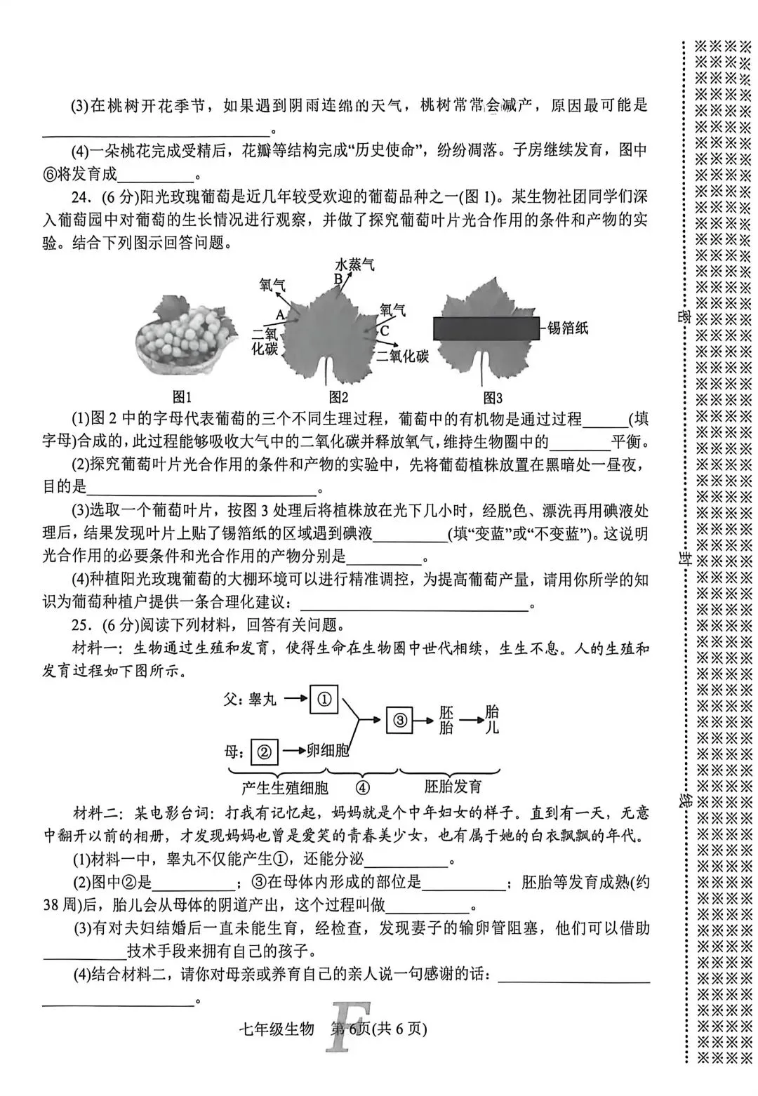 2026春七年级生物下册期中考试试卷 第6张