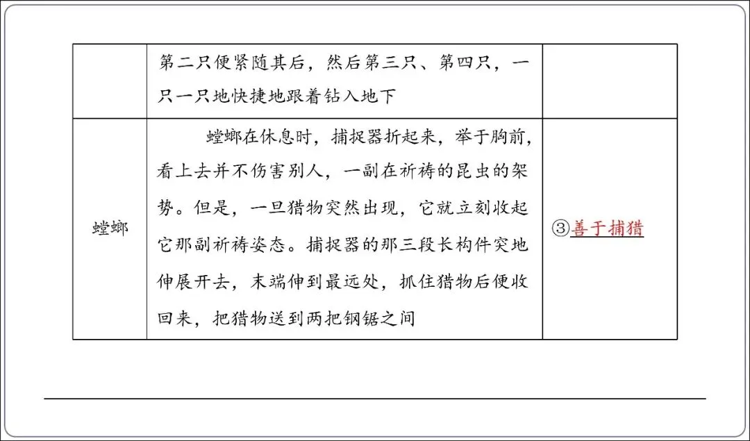 中考专项复习-12部名著阅读必刷题单篇过关+多部联读(讲解版,ppt73张) 第34张