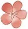 研思聚力精备考,示范引领促提升——区中考历史复习示范课在我校圆满举办 第8张