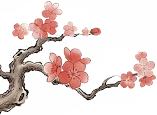 研思聚力精备考,示范引领促提升——区中考历史复习示范课在我校圆满举办 第9张