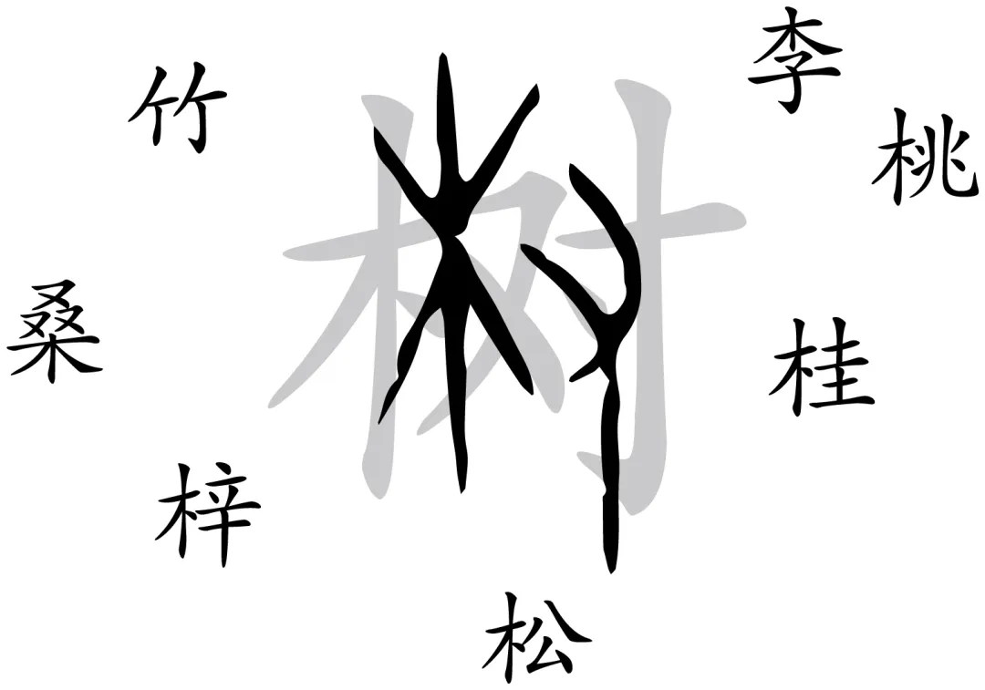 2026浙江中考一模分类汇编-综合性学习 第3张