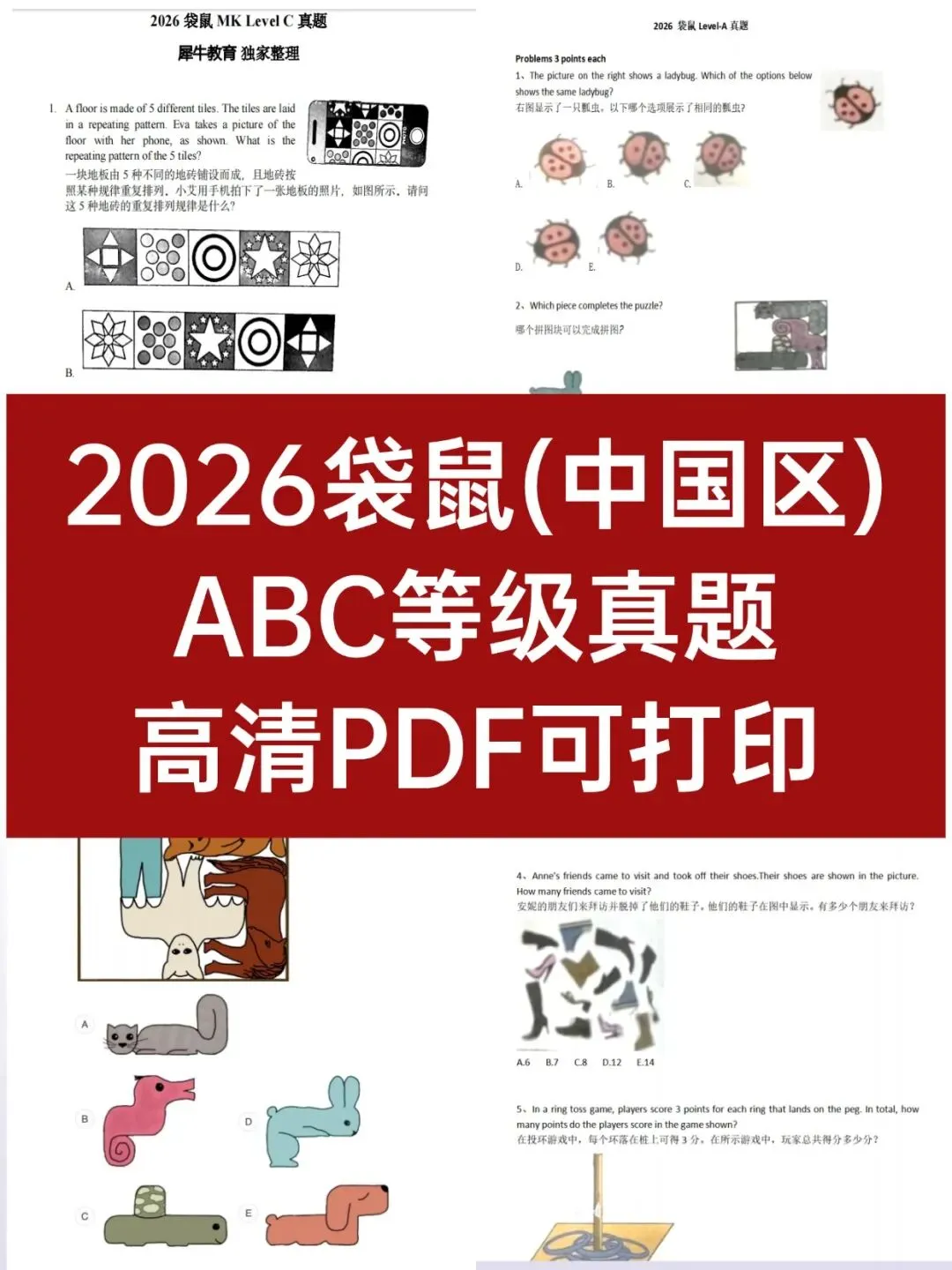 2026年袋鼠竞赛完整版真题+答案解析高清PDF可打印(中国区) 第2张