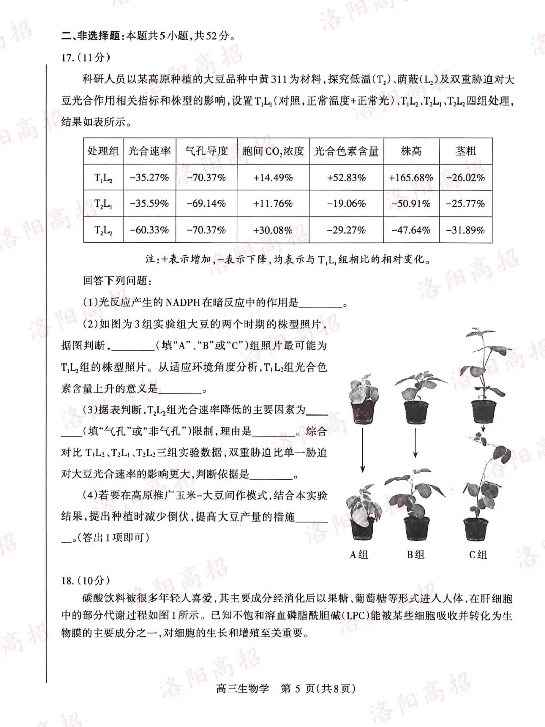 洛阳高三四测答案、试卷来了 第95张