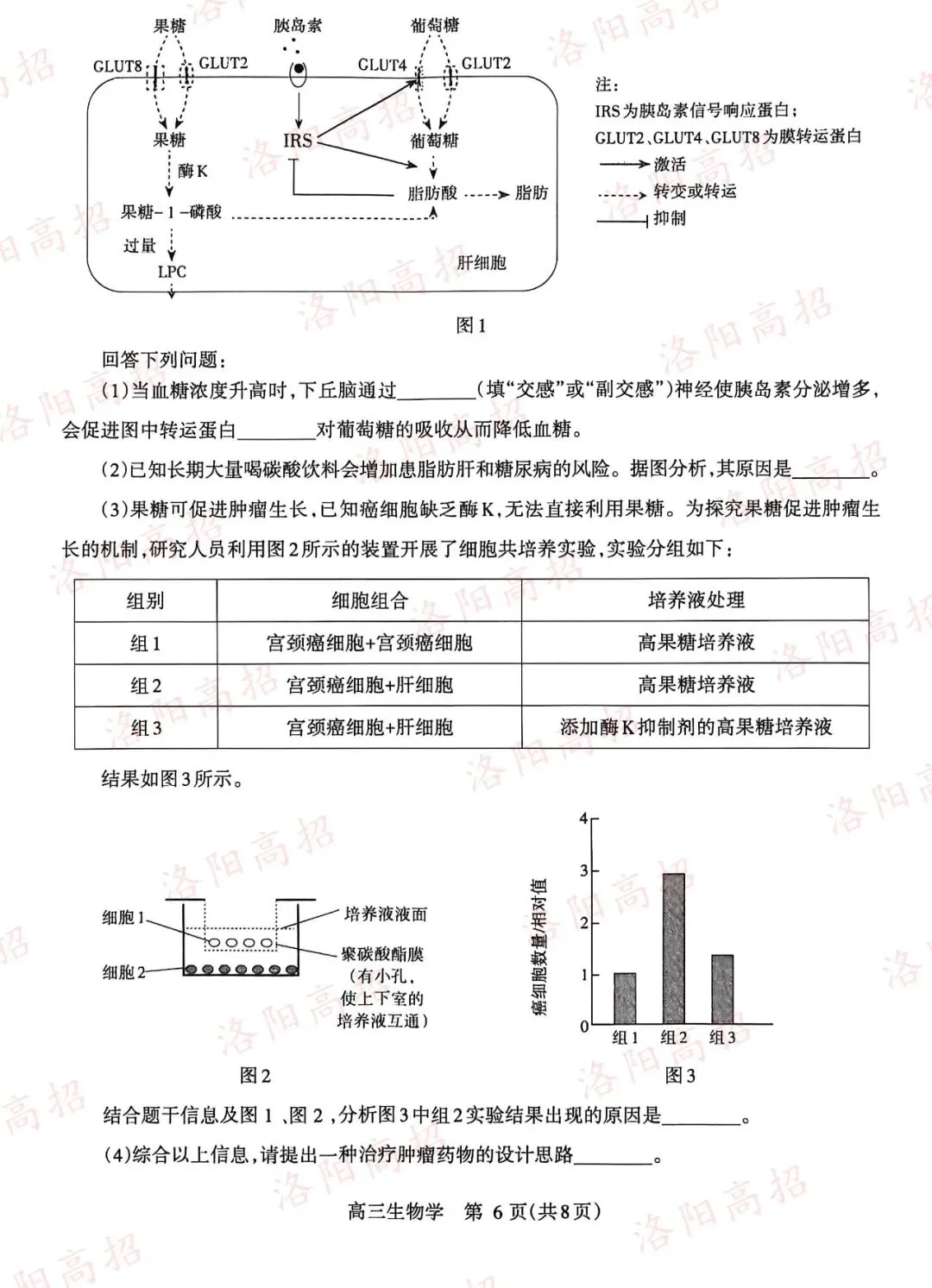 洛阳高三四测答案、试卷来了 第96张