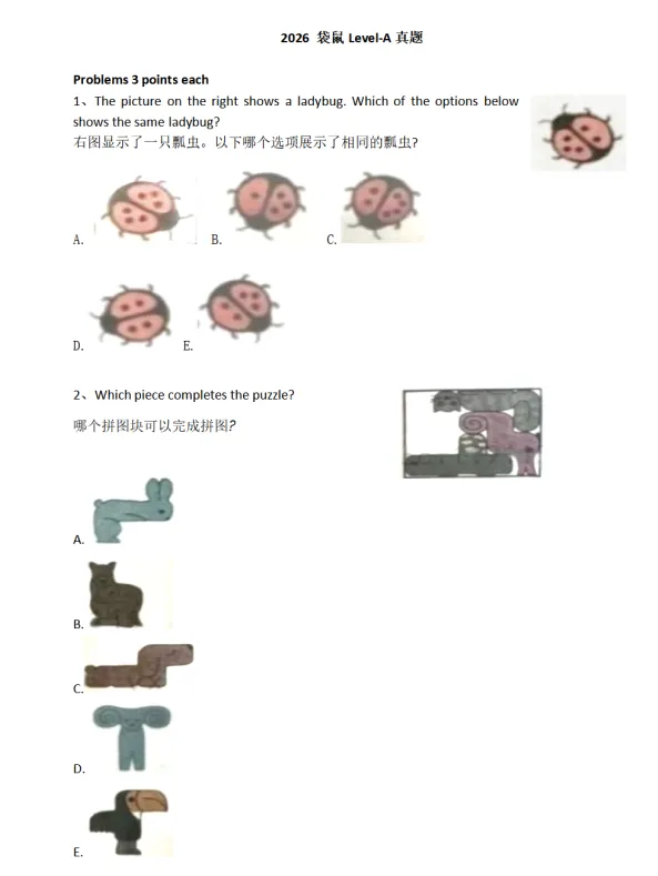 2026年袋鼠数学竞赛A等级真题解析完整版 第1张