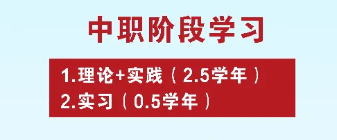 @初中毕业生 中考后的十字路口,你打算怎么走? 第9张