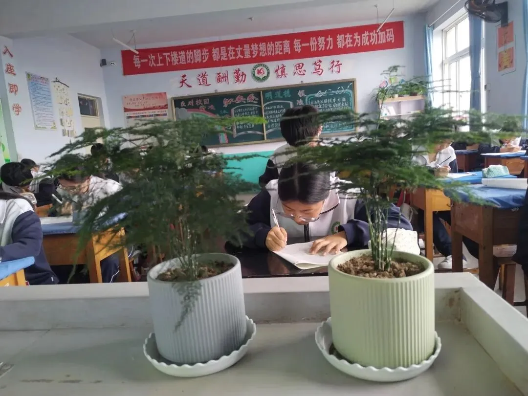 距离中考43天,我的上届学生回来寻草莓果. 第1张