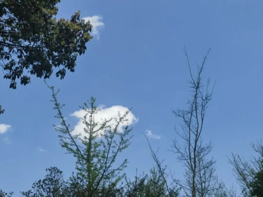 真题解析:工作堆积成山,领导还给你加任务,拒绝还是硬扛? 第1张