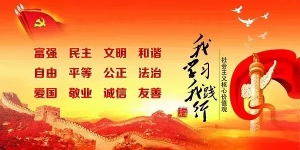 暖心护航 筑梦中考——漳浦县绥安中学开展中高考心理赋能专题宣讲活动 第17张