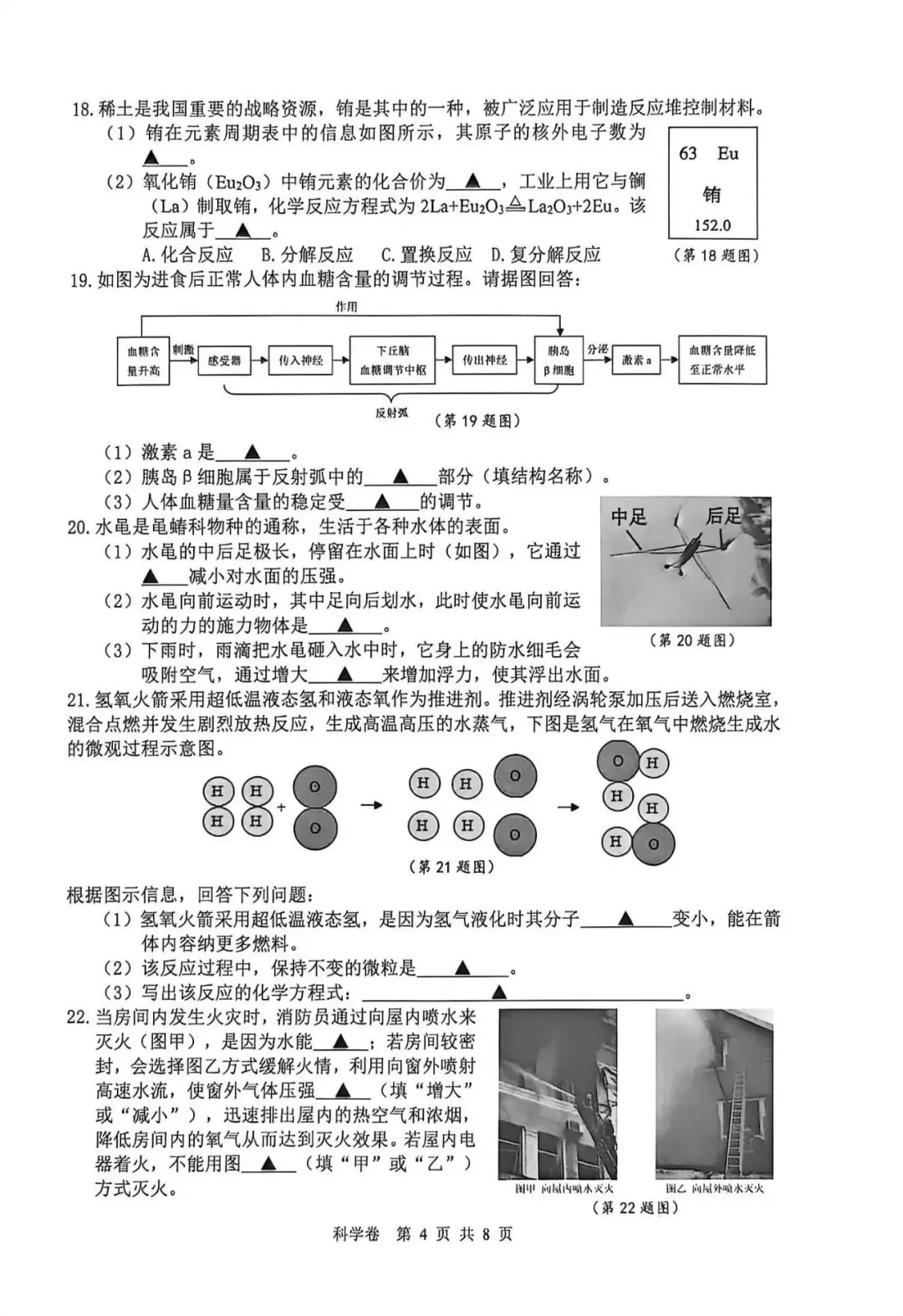 2026年湖州市中考一模试卷免费领取 第7张