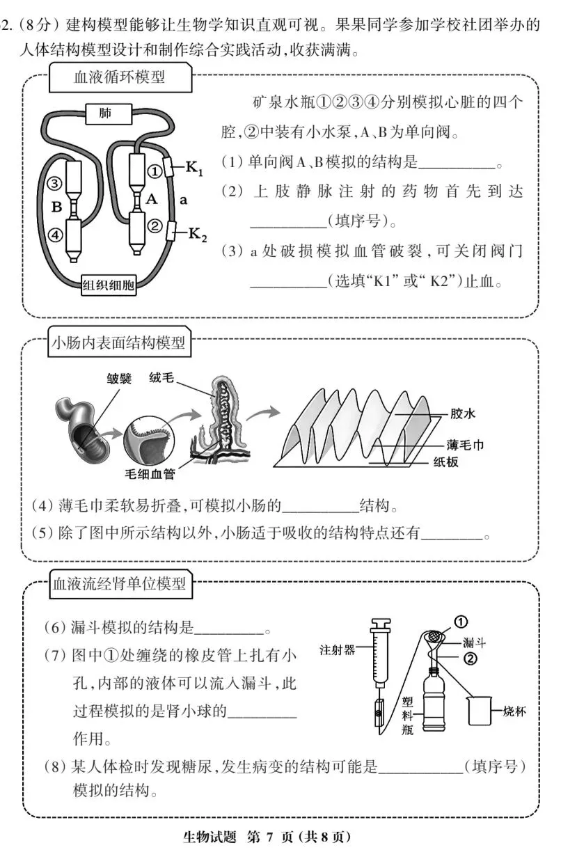 初中生物中考复习质量检测02SM试卷+参考答案,有pdf文档 第8张