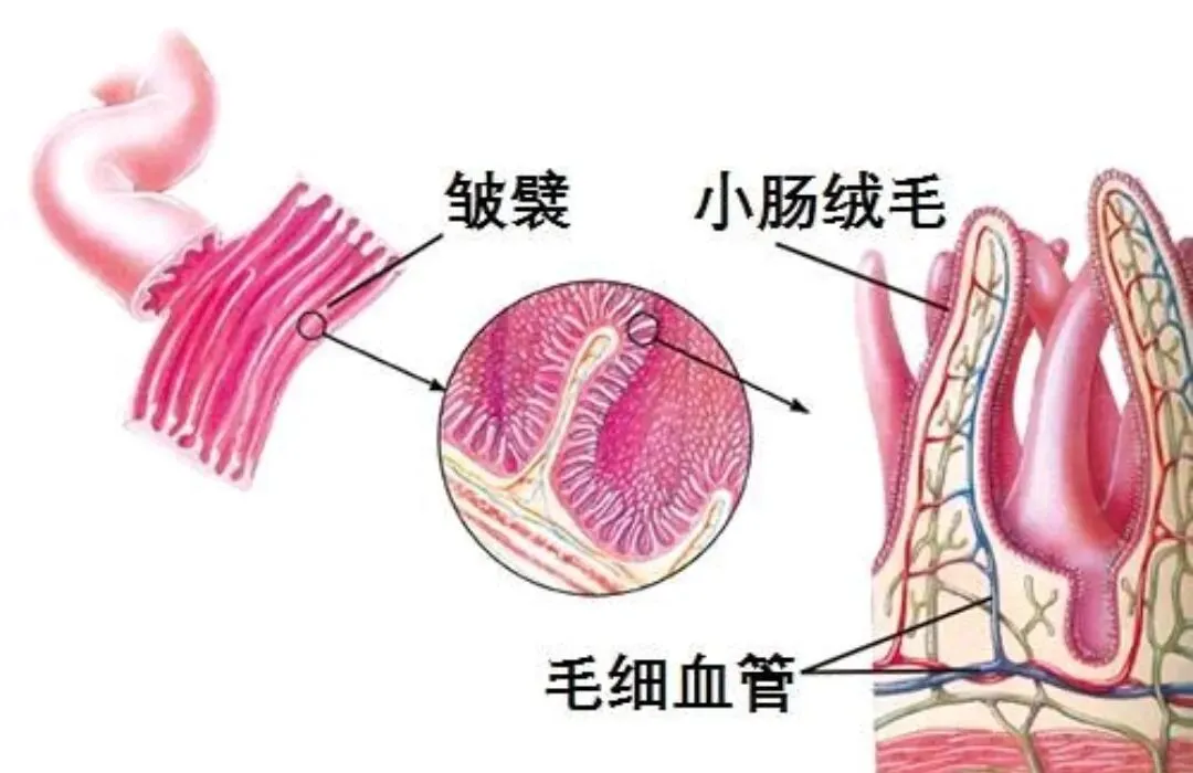 地理生物“中考冲刺号”已经吹响…… 第4张