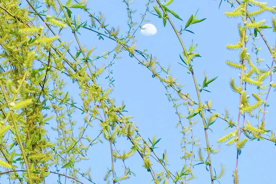 【总第2381期】中考复习|中考作文考前串讲 第25张