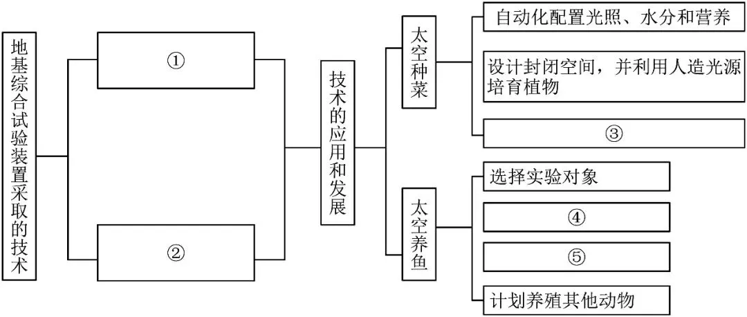 2024-2025学年北京高二下期末真题汇编-信息类文本阅读 第2张