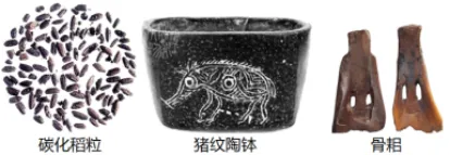 中考二轮复习专项训练每单元20道中考真题——第一单元 史前时期:原始社会与中华文明的起源 第3张
