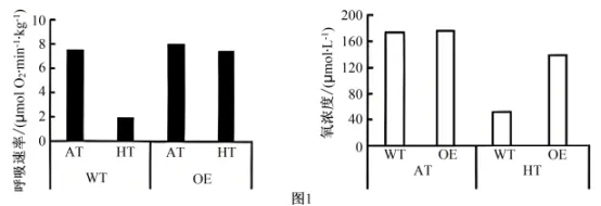 高考真题 | 每日一题(273) 第2张