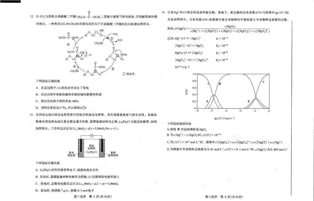 2026洛阳高三四测 试卷及答案(英/化/生/政/地/小语种) 第12张