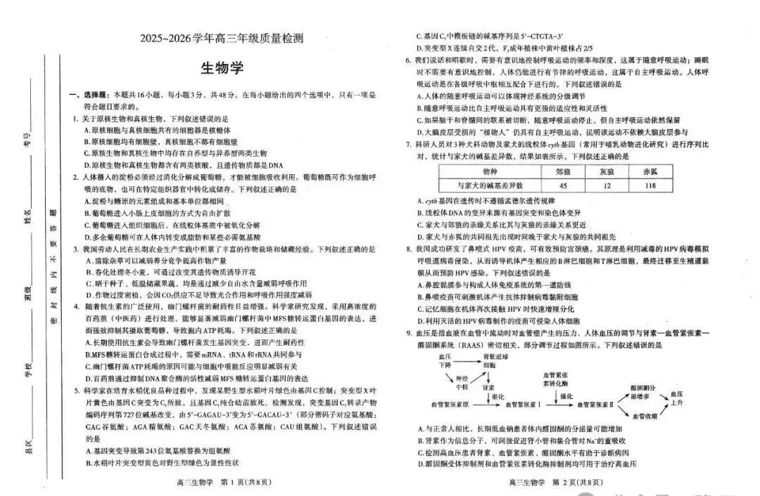 2026洛阳高三四测 试卷及答案(英/化/生/政/地/小语种) 第17张