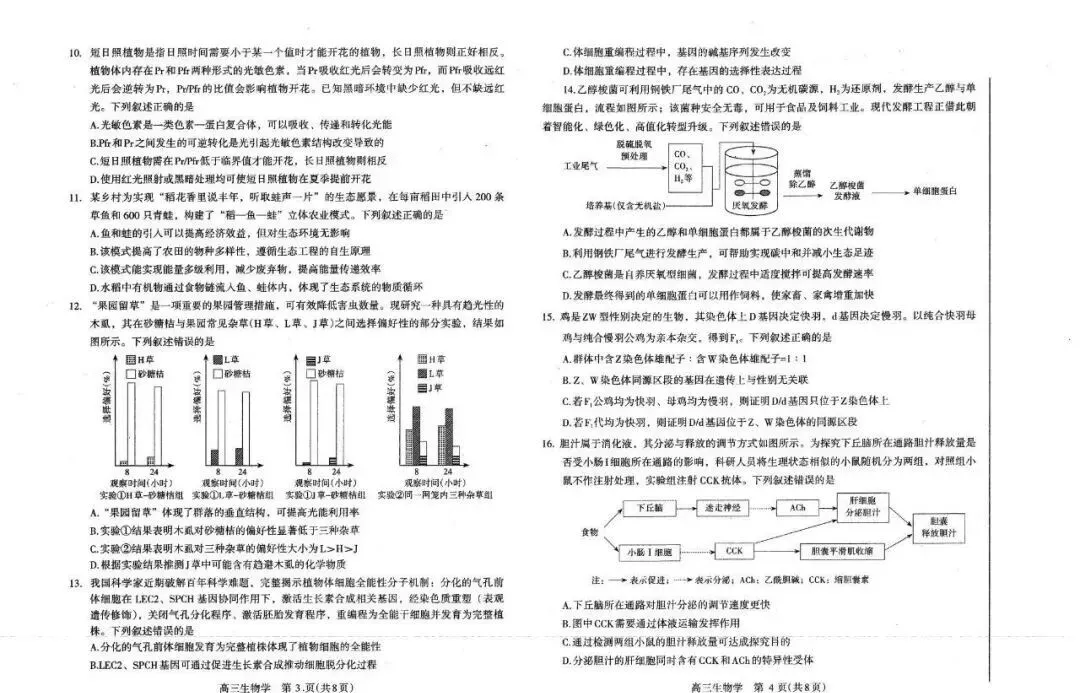 2026洛阳高三四测 试卷及答案(英/化/生/政/地/小语种) 第18张