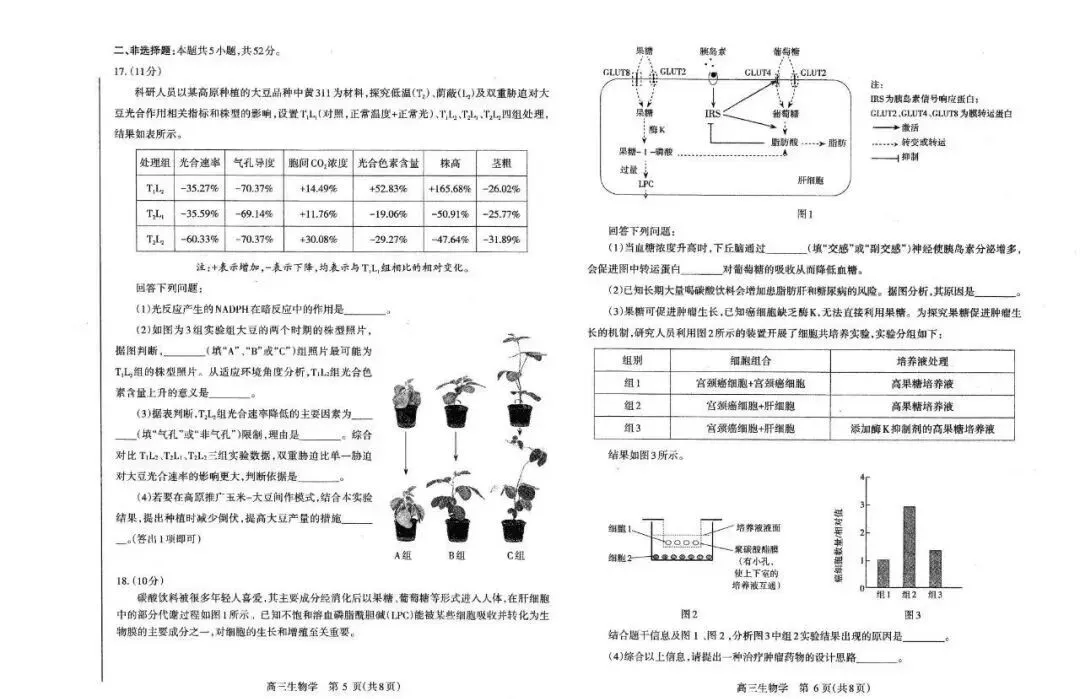 2026洛阳高三四测 试卷及答案(英/化/生/政/地/小语种) 第19张