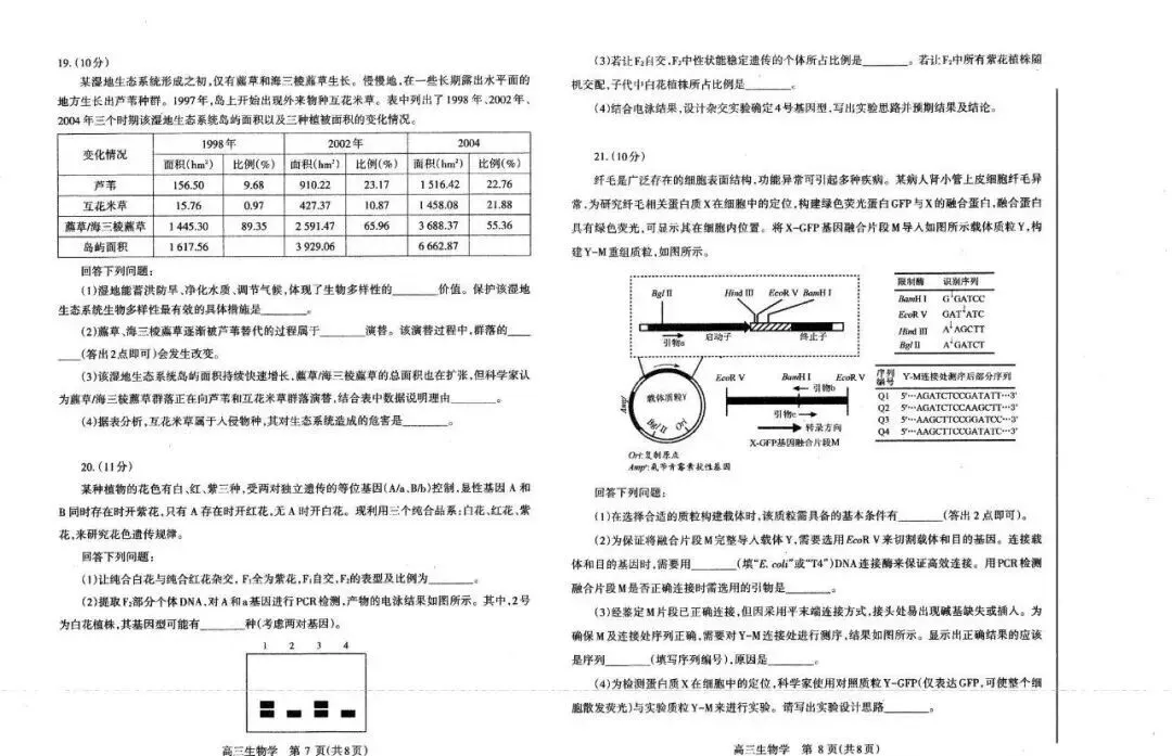2026洛阳高三四测 试卷及答案(英/化/生/政/地/小语种) 第20张