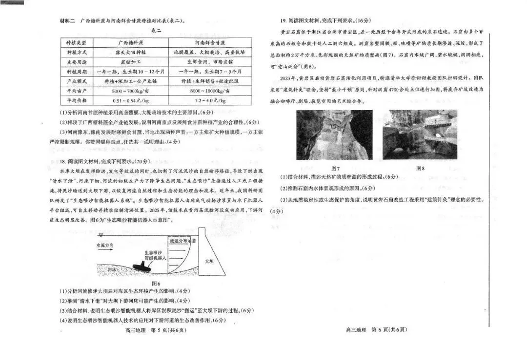 2026洛阳高三四测 试卷及答案(英/化/生/政/地/小语种) 第29张