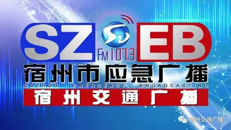 总分100分!宿州市体育中考将改革,正在公开征求意见 第2张