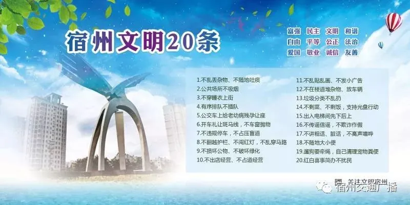 总分100分!宿州市体育中考将改革,正在公开征求意见 第7张