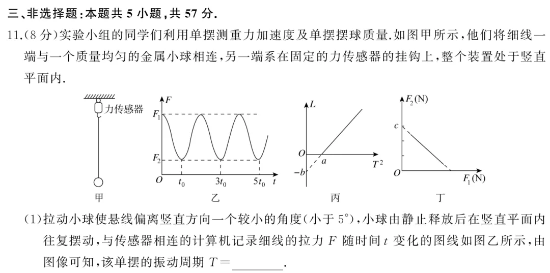 2026届高三全真模拟适应性考试·物理试题及参考答案 第24张
