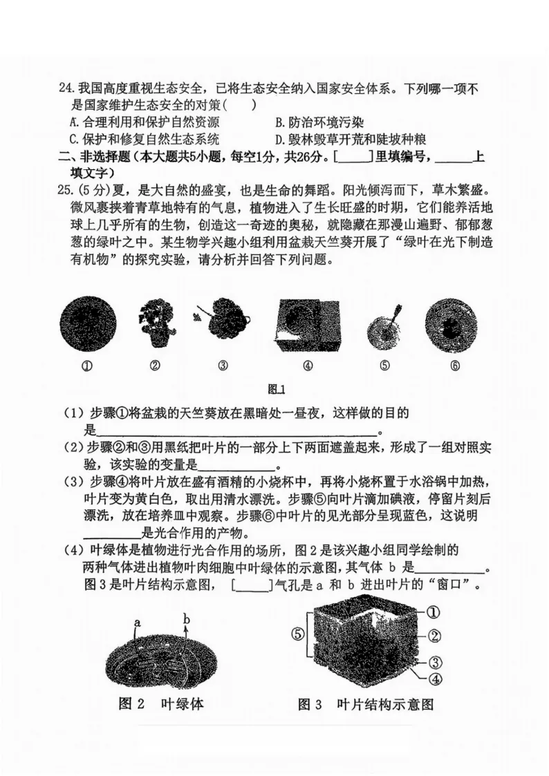 2026德强中学八年级下生物期中考试 试卷+答案 第5张