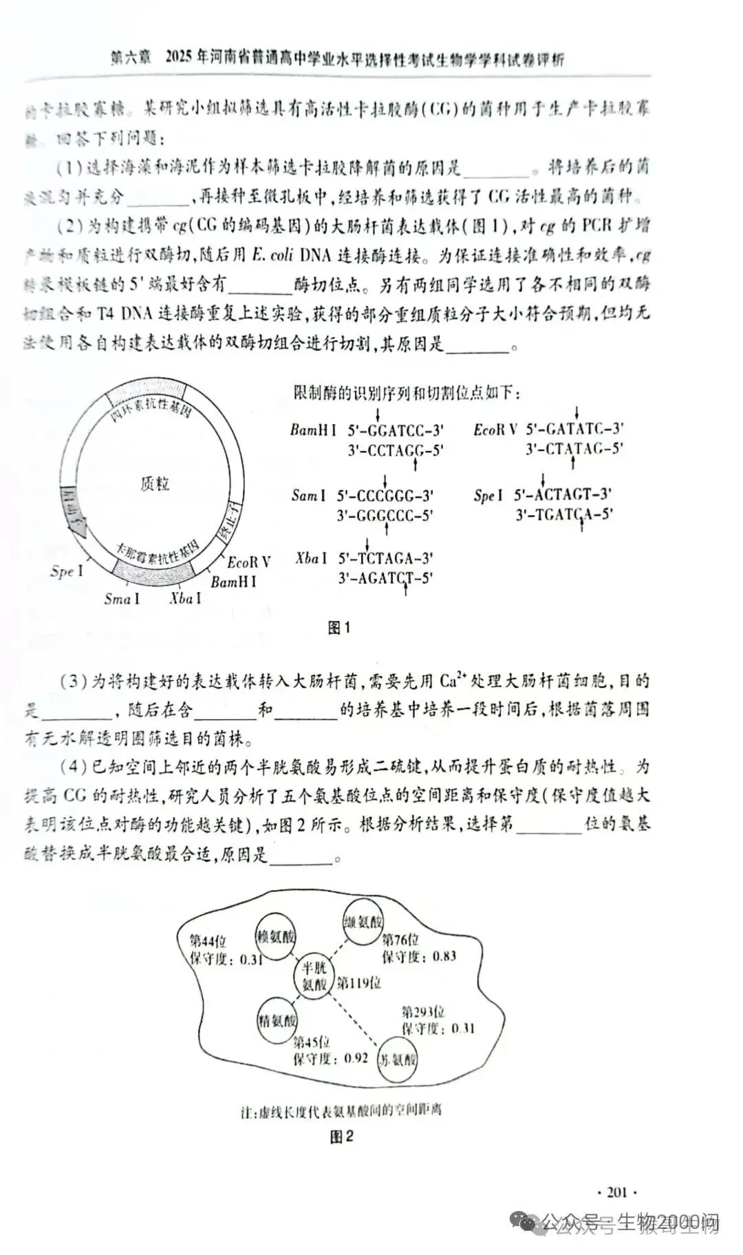 2025年河南省高考生物学真题官方解析 第46张