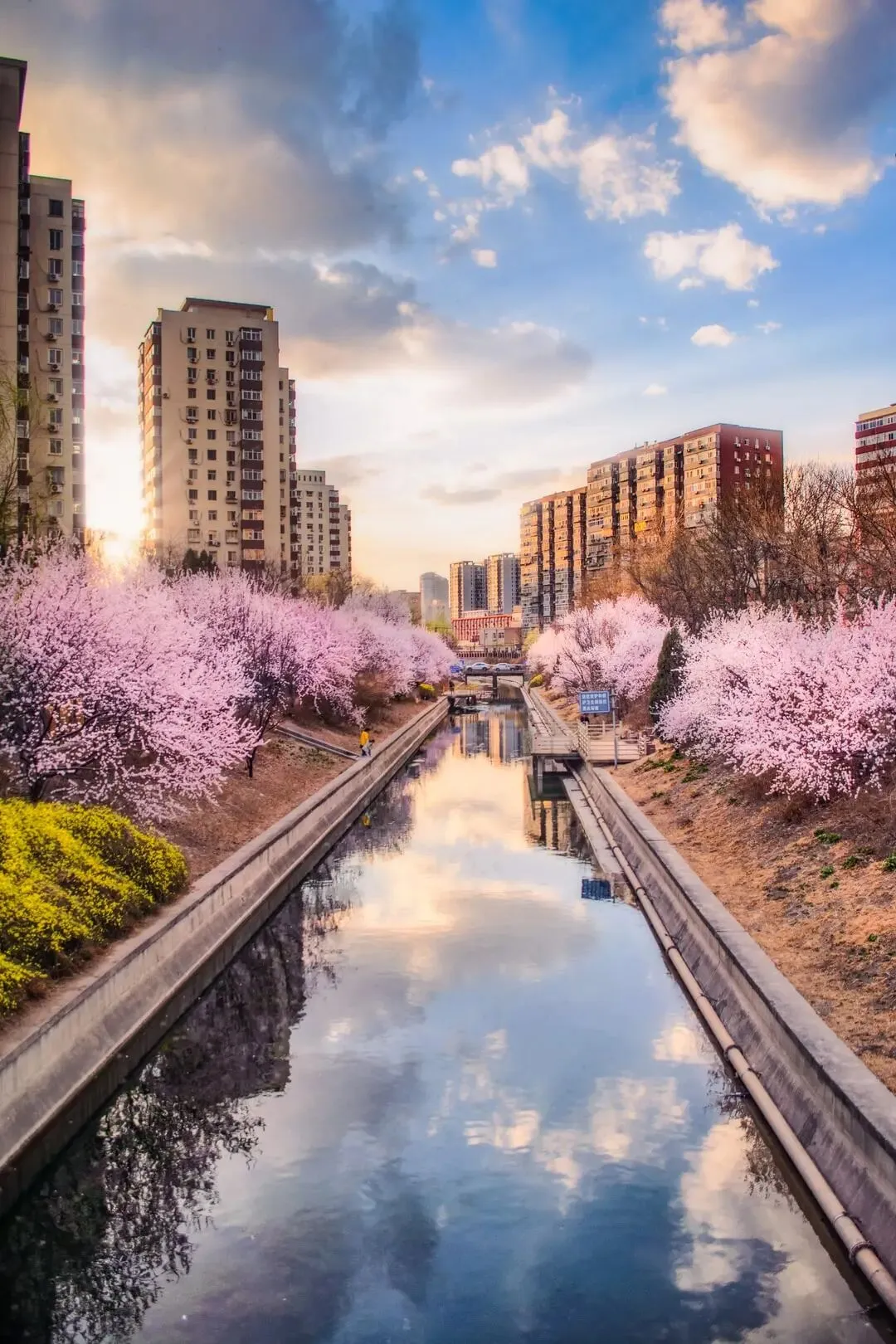 写作指导 | 2026年春泉州初三模拟考《老规矩,新时代》作文试题写作指导 第8张