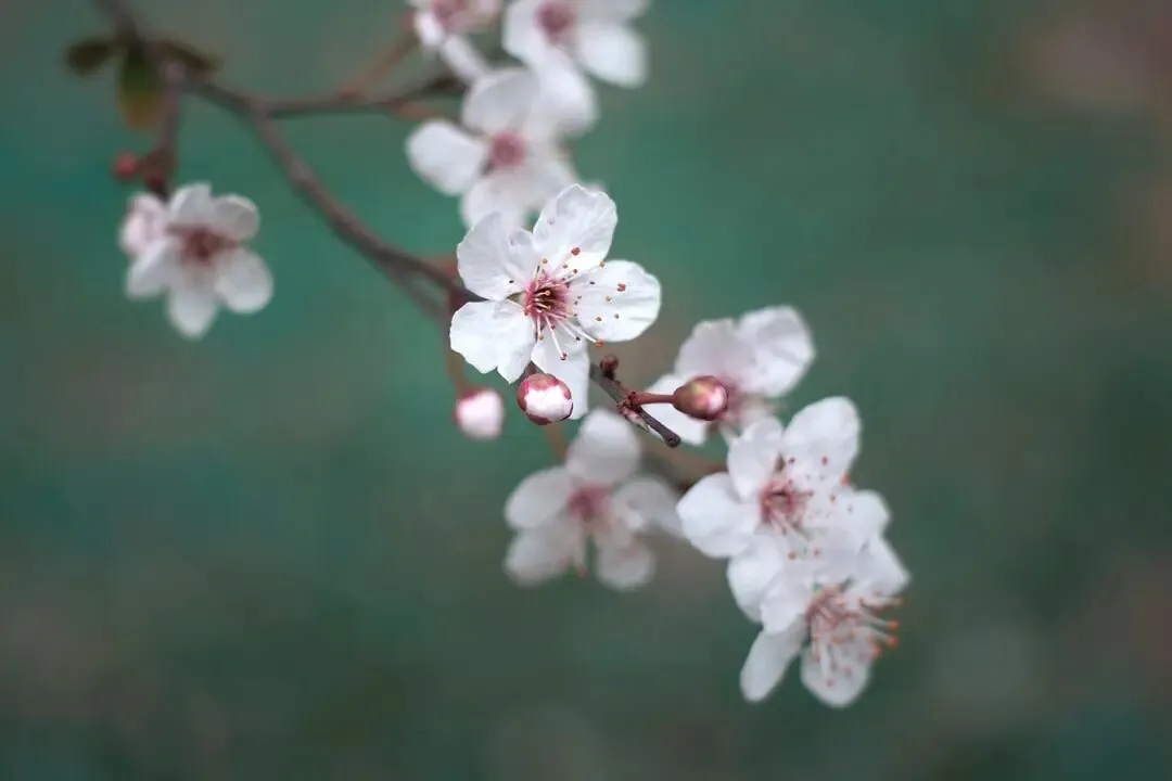 写作指导 | 2026年春泉州初三模拟考《老规矩,新时代》作文试题写作指导 第9张