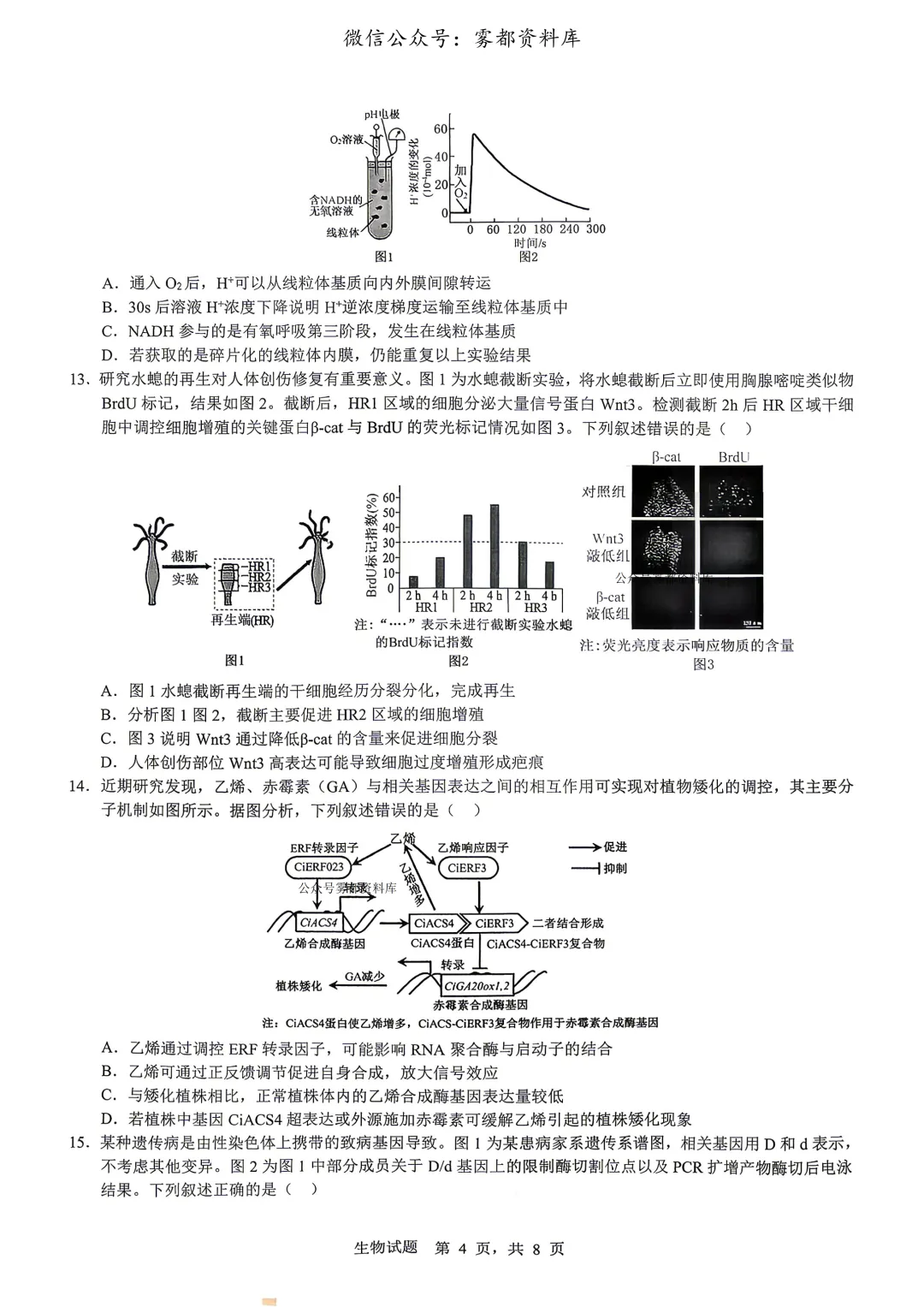 重庆育才中学高2026届高三(下)高考模拟考试(一)生物试题+答案 第8张