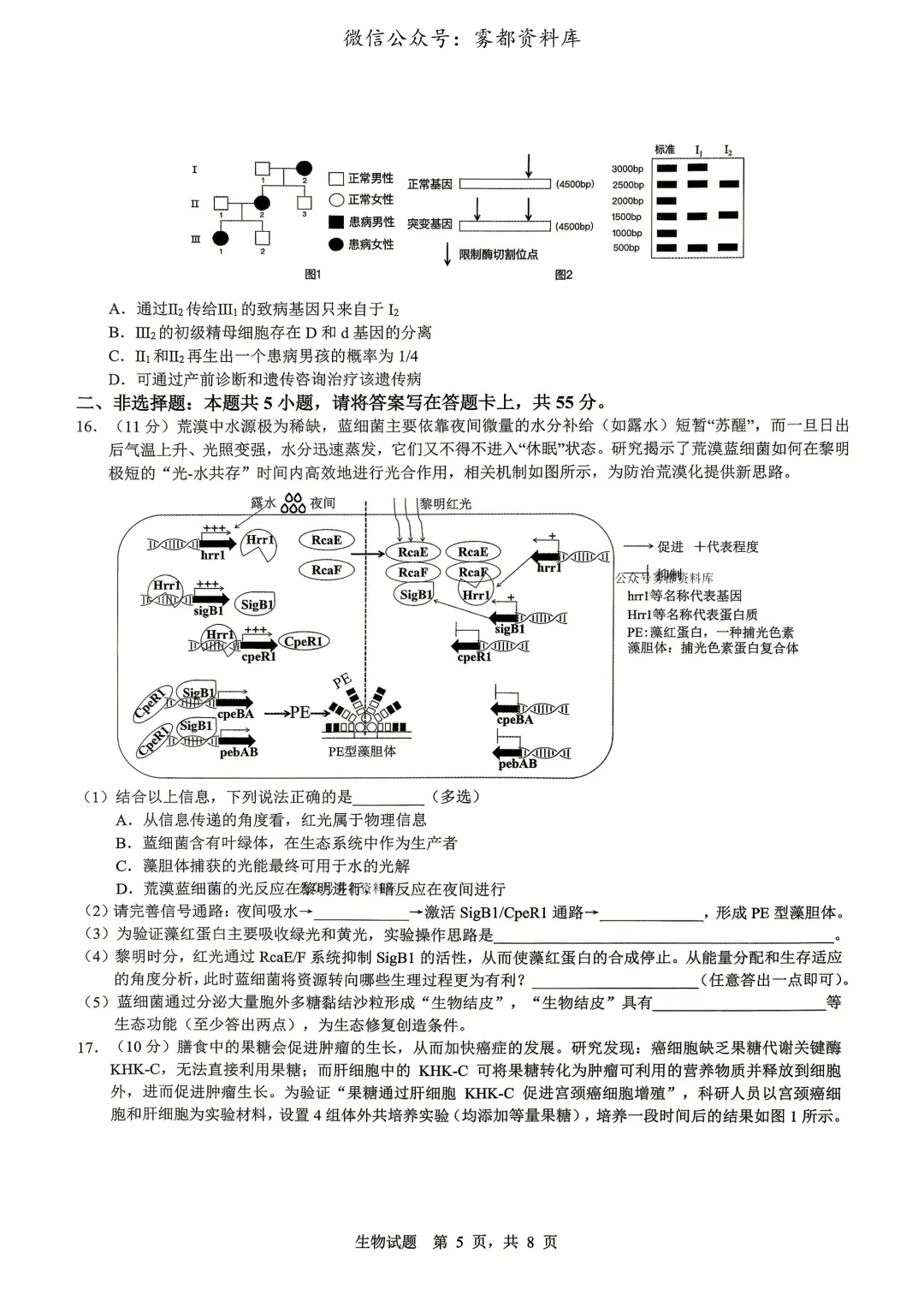 重庆育才中学高2026届高三(下)高考模拟考试(一)生物试题+答案 第9张