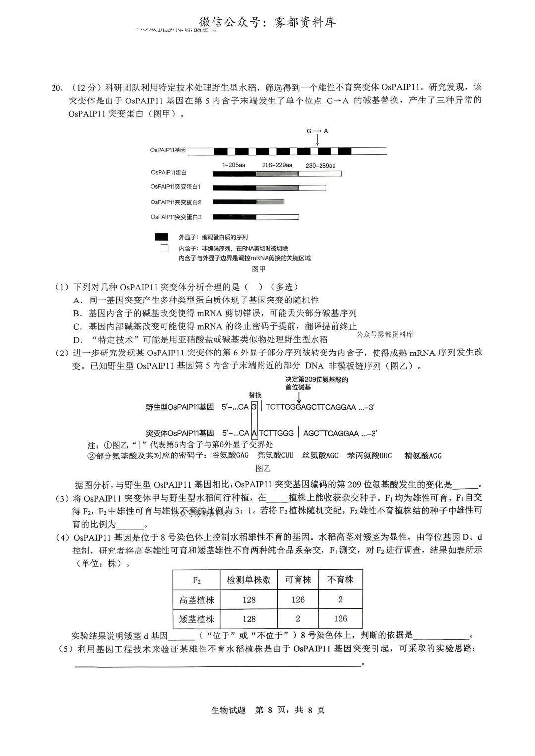 重庆育才中学高2026届高三(下)高考模拟考试(一)生物试题+答案 第12张