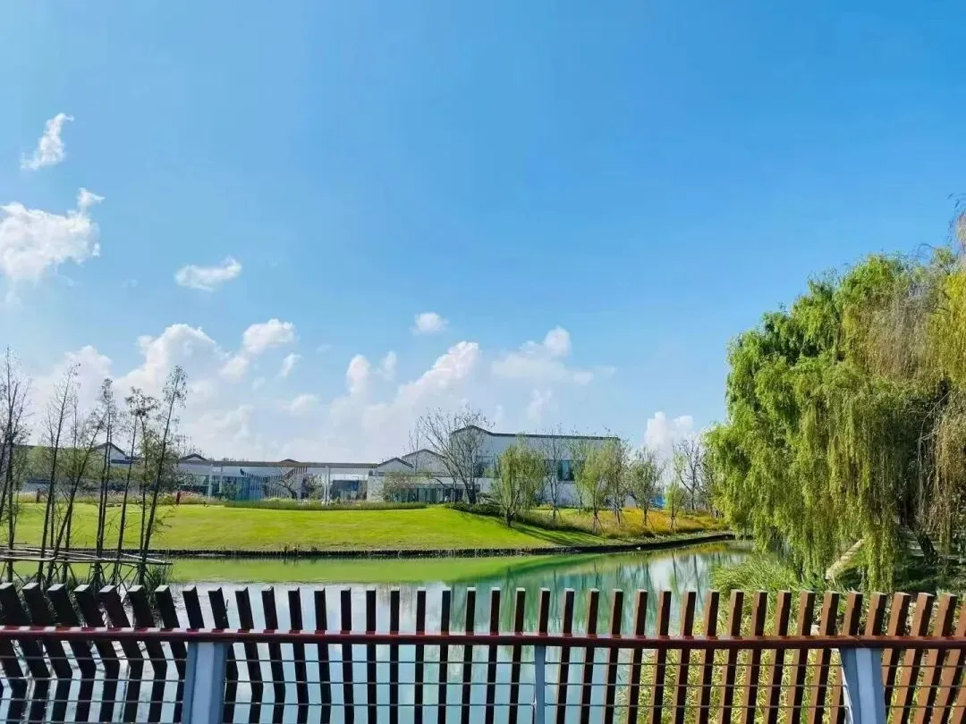 中考家长速看!5 月 23 日枫华普高招生说明会盛大启幕,现场可直接签约! 第30张