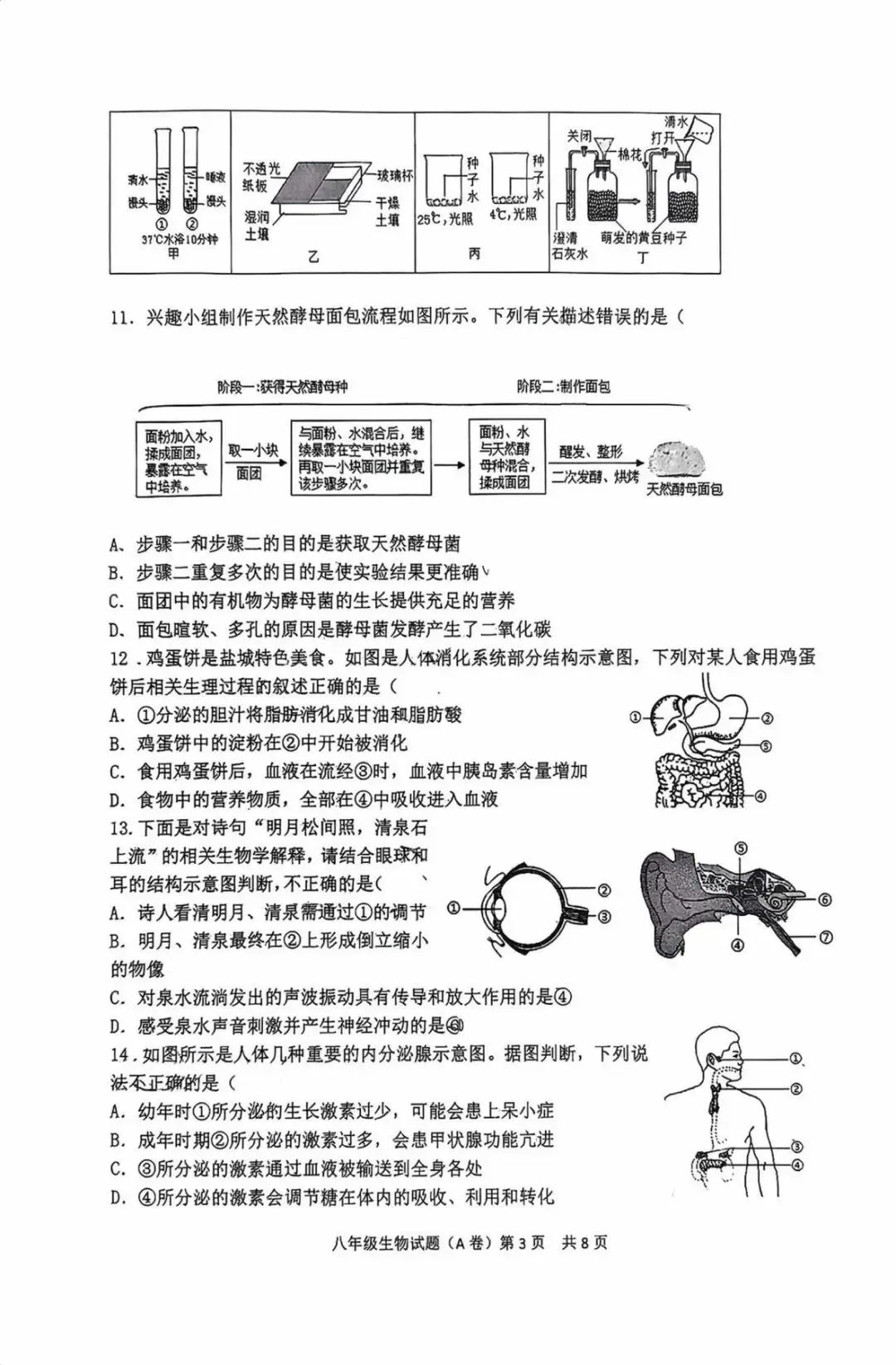 2026年中考生物模拟试卷 第3张