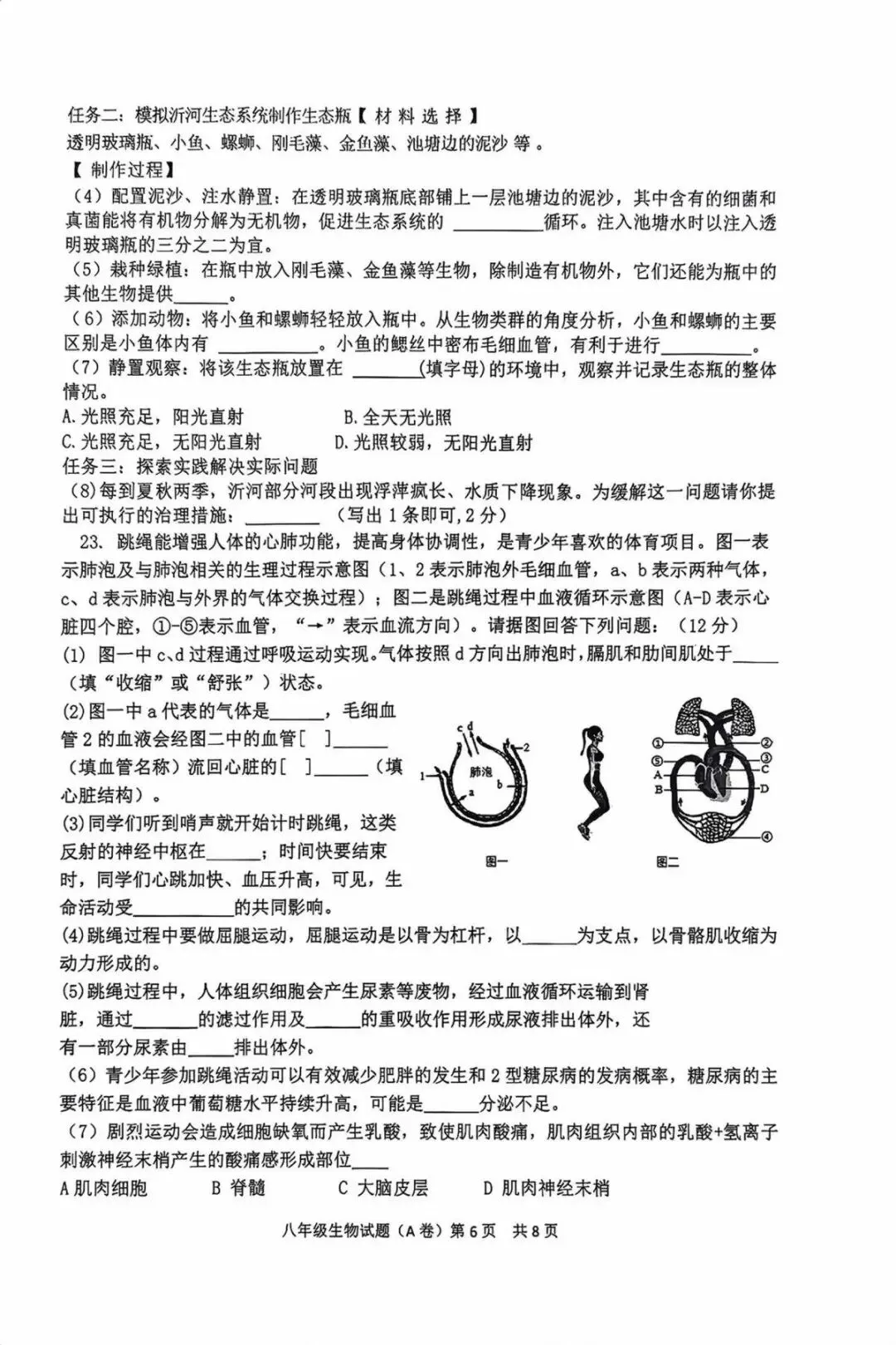 2026年中考生物模拟试卷 第6张