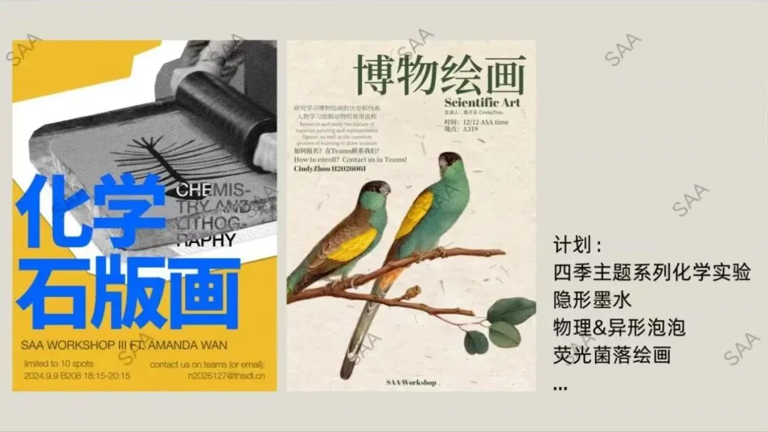 中考后|清香科创项目助你开启全球学术探索之旅 第21张