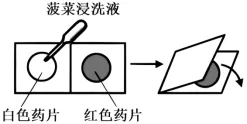 2026年高考第二次模拟考试(黑吉辽蒙专用)学易金卷01-生物学试题和答案(附word下载) ⊙ 第17张