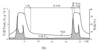 2026年高考第二次模拟考试(黑吉辽蒙专用)学易金卷01-生物学试题和答案(附word下载) ⊙ 第23张