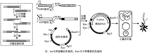 2026年高考第二次模拟考试(黑吉辽蒙专用)学易金卷01-生物学试题和答案(附word下载) ⊙ 第25张