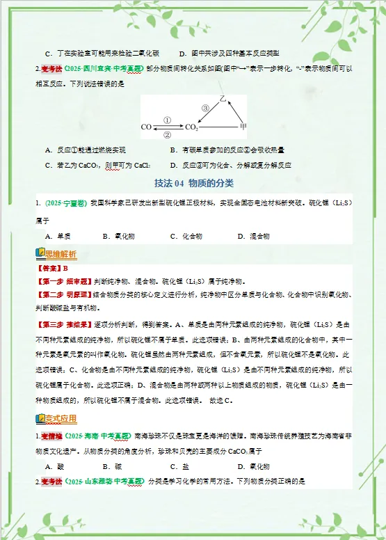 2026年中考化学二轮复习知识清单,含答题技巧,解题方法、母题精讲等,还没掌握的,抓紧了,考试拿高分! 第10张