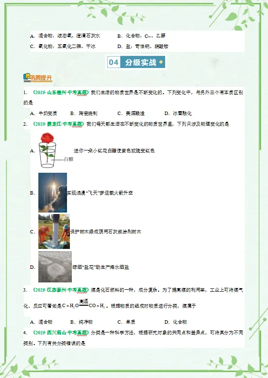 2026年中考化学二轮复习知识清单,含答题技巧,解题方法、母题精讲等,还没掌握的,抓紧了,考试拿高分! 第11张