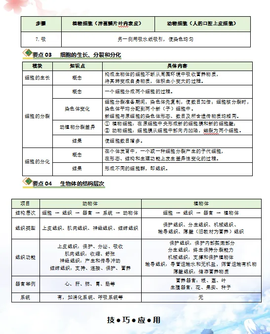 2026年中考(会考)生物二轮复习知识清单,含答题技巧,解题方法、母题精讲等,还没掌握的,抓紧了,考试拿高分! 第6张