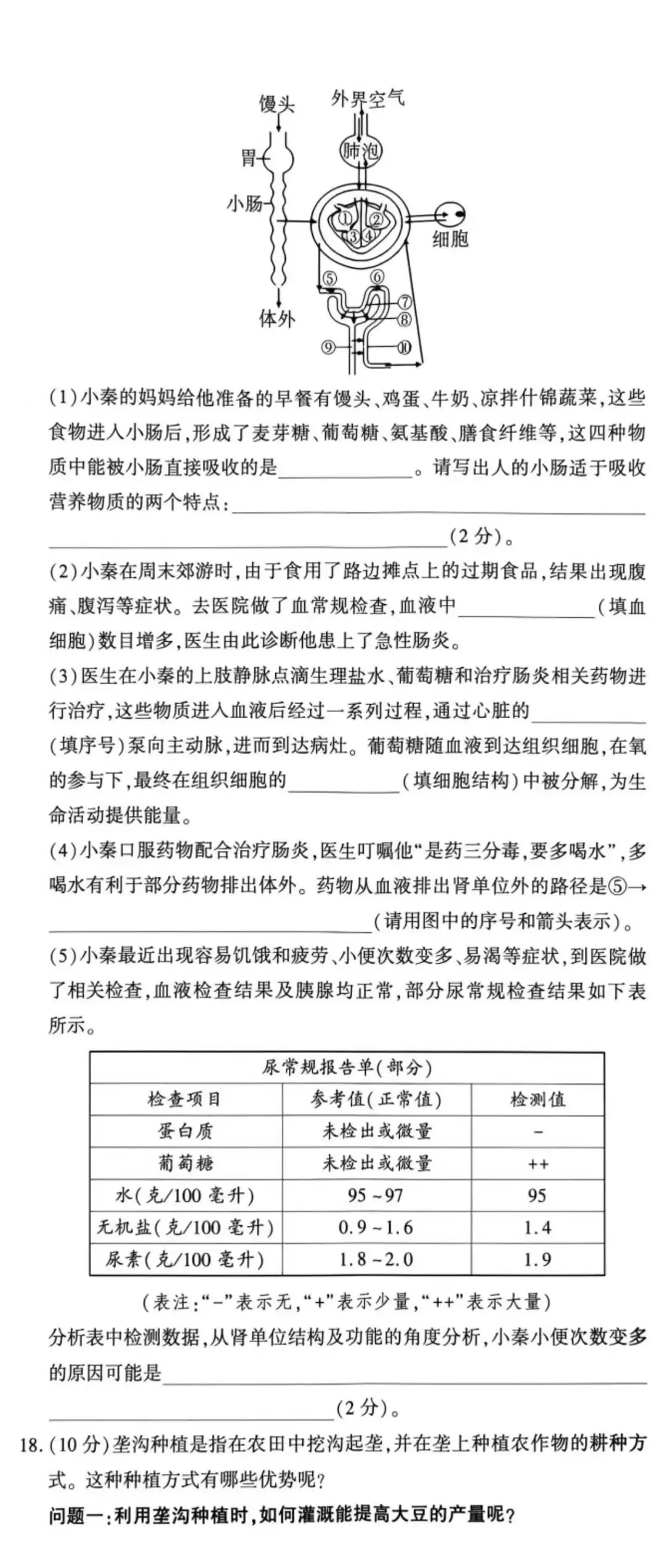 2026陕西初中学业水平考试生物模拟试卷(含答案) 第6张