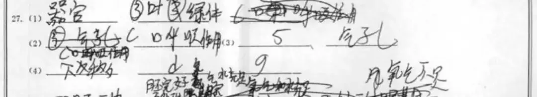 批改初中试卷有感 第5张