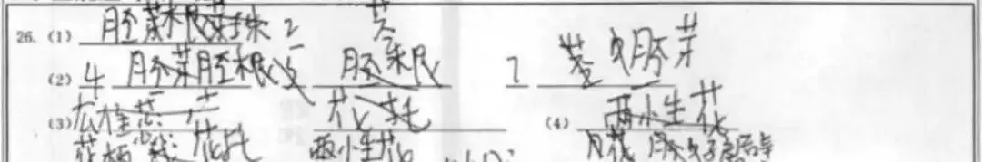 批改初中试卷有感 第7张